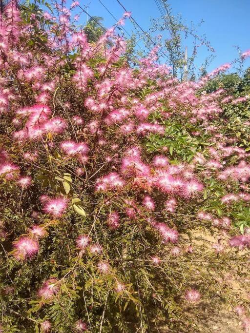 Chale Aconchegante Em Estancia Climatica Санту-Антониу-ду-Лейти Экстерьер фото
