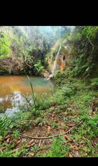 Chale Aconchegante Em Estancia Climatica Санту-Антониу-ду-Лейти Экстерьер фото